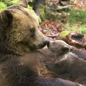 Meet your Posher, Briana